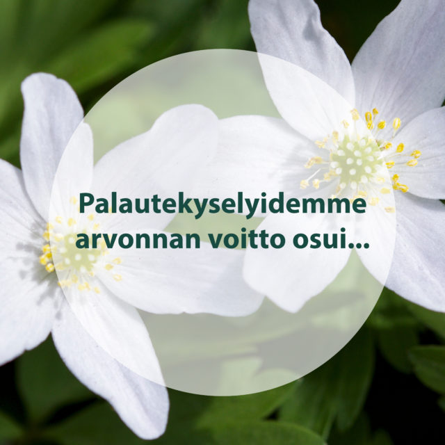 Palautekyselyiden arvonnan voitot Lahteen ja Jyväskylään